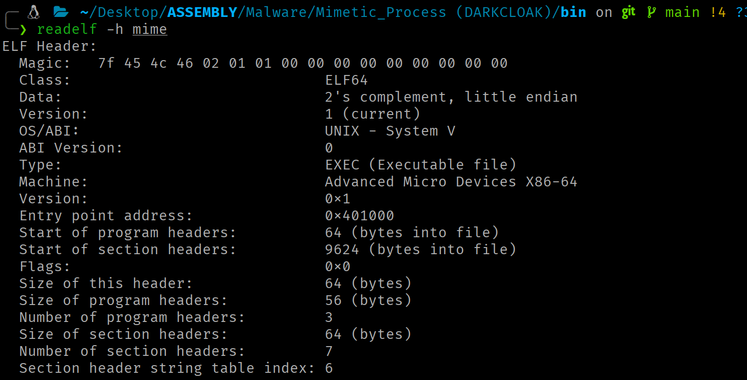 readelf -h output showing ELF Header fields